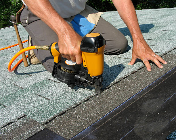 Best Roof Gutter Cleaning  in Hayti, MO